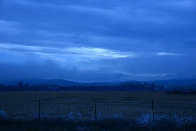 DSC_1116 (Large).JPG